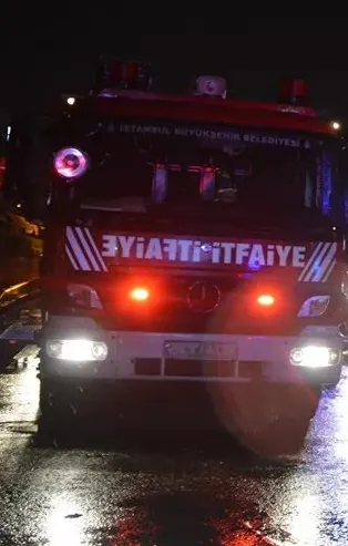 Pendik’te ormanlık alanda yangın