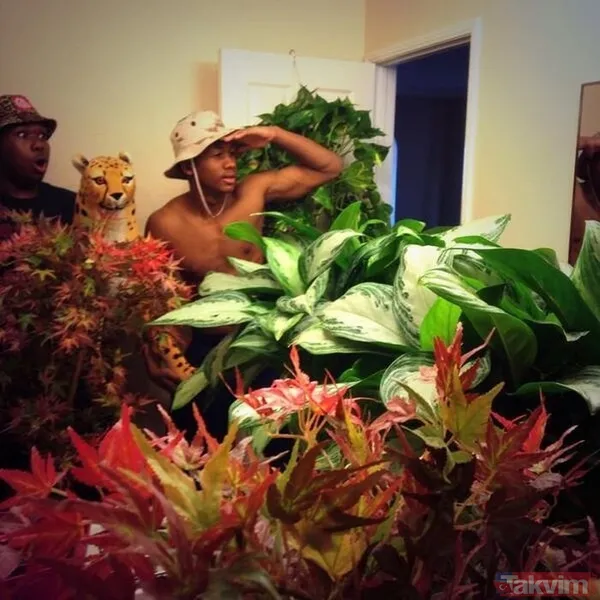 Sadece selfie çekmek istemişti! Başına öyle bir şey geldi ki... - 49