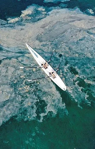 Müsilaj için bilim kurulu oluşturuldu! Prof. Dr. Hasan Mandal başkanlık edecek