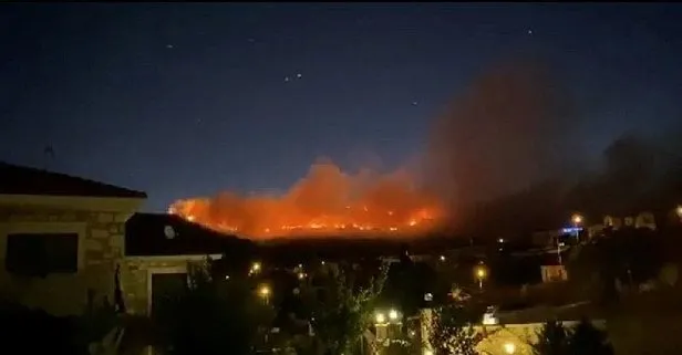 SON DAKİKA: İzmir Foça’da orman yangını: 3 hektar alan zarar gördü