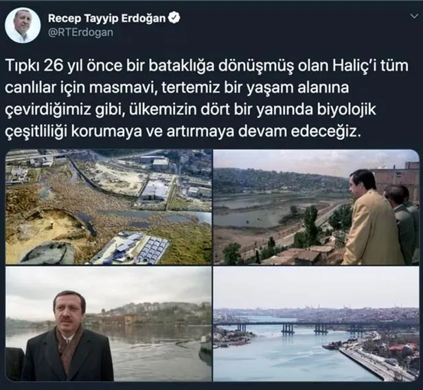 Haliç’te mide bulandıran görüntü! Dev sıçanlar cirit atıyor-8