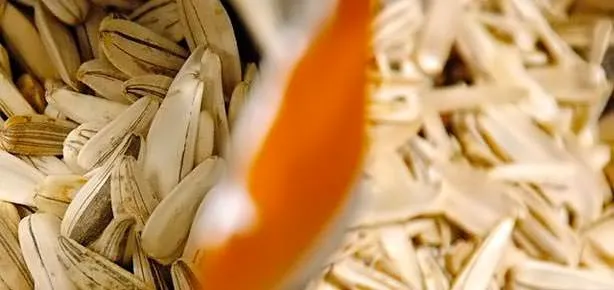 Hastalıkları çıtlatın!