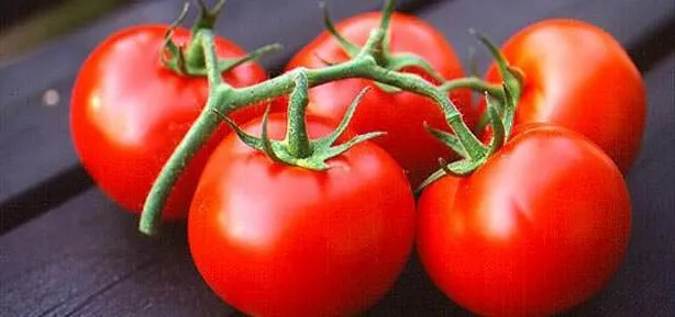 Organiği ilaç gibi