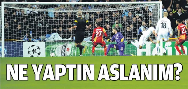 Ne yaptın Aslanım!