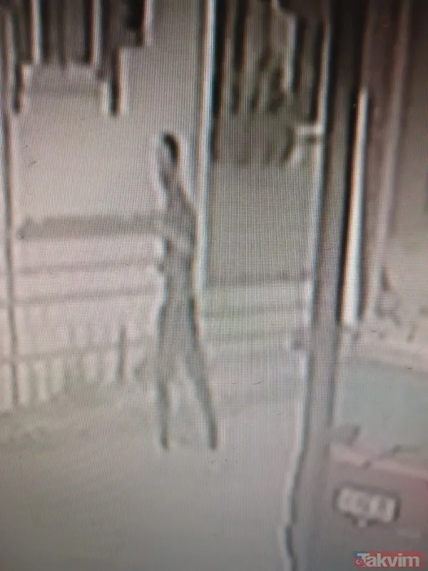 Fotoğrafçıda taciz! Eşofmanını indirip cinsel organını gösterdi - 7