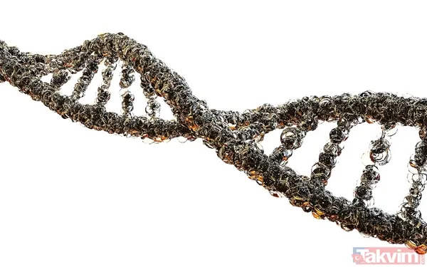 "Zor insanlar" hücrelerimizi nasıl etkiliyor? Indiana Üniversitesi ve New York Üniversitesi (NYU) tarafından yürütülen çalışmada, sürekli sorun çıkaran veya...