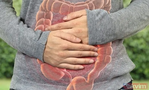 Neslihan Atagül korkutan hastalığı yüzünden İngiltere'de! Sefirin Kızı dizisine ivedilikle veda etmişti... - 23