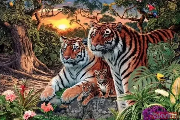 Bu fotoğraf bakanlara saç baş yoldurdu! Bir leopar var ama hadi bulun bulabilirseniz! Zor olduğuna eminiz arayanların yüzde 99'u vazgeçti - 12