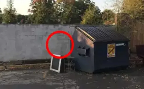 Zeka testi: 10 saniyede arka bahçede gizlenmiş geyiği bulabilir misin? 580 kişi denedi, 15'i başarılı oldu - 6