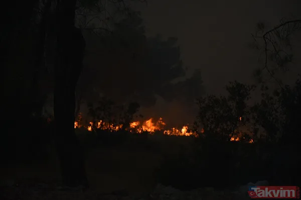 İzmir'deki yangın kontrol altına alındı! Bakan Yumaklı bölge bölge son durumu açıkladı - 22