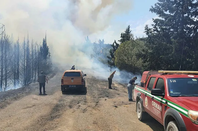İzmir'de orman yangını