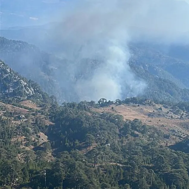 Muğla’da orman yangını