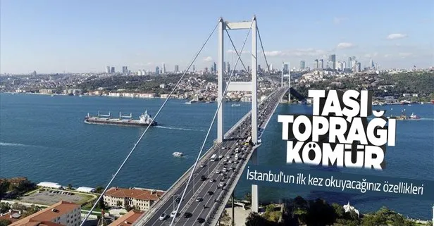 Bunları biliyor musunuz? İstanbul’un ilk kez okuyacağınız özellikleri: Taşı toprağı kömür