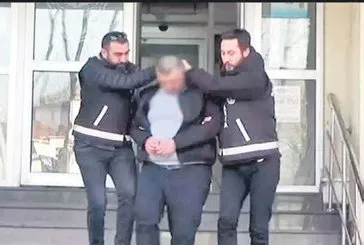 Zil cinneti