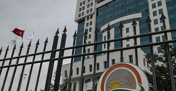 Tarım sektörü, evlerin içine kadar girdi! Kendin üret-kendin tüket akımı