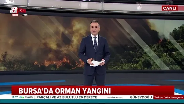 Bursa'da orman yangını