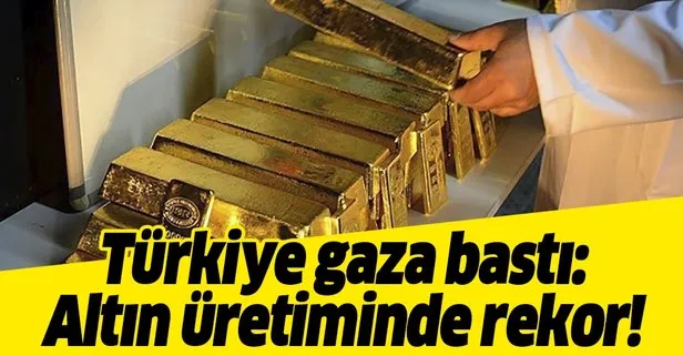 Altın üretiminde hedef 5 yılda 100 ton