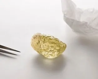 Tesadüfen bulundu! Değeri belirlenemedi