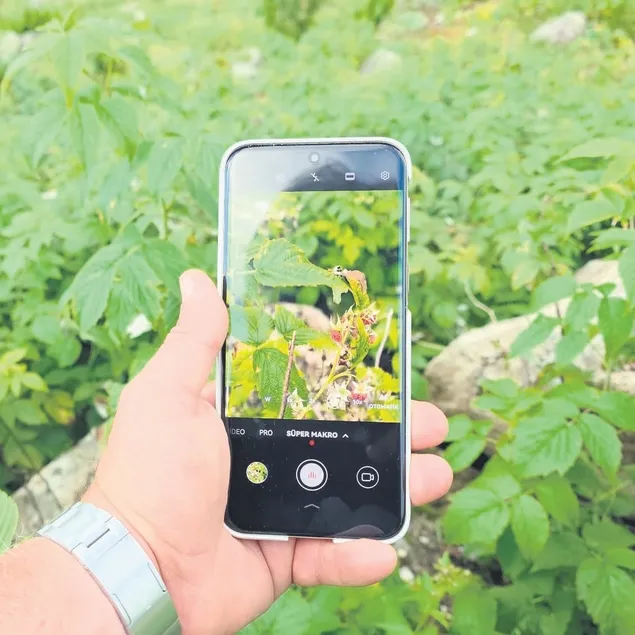 Makro dünya canlıların hayatını cebinizde taşıyın