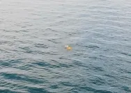 Son dakika: Van Gölünde kaybolan tekneyi arama çalışmalarında flaş gelişme: 1 kişinin daha cesedi bulundu