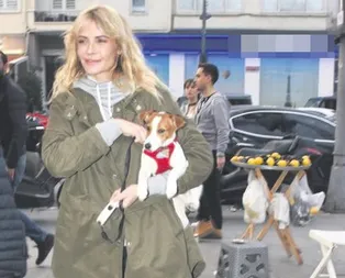 Yürüyüş arkadaşı