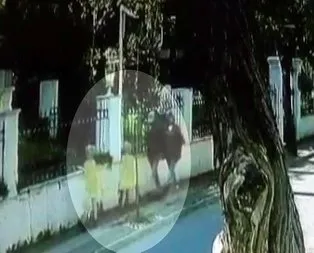 Son dakika: Eski İngiliz ajanı Le Mesurierin ölmeden önceki son görüntüsü ortaya çıktı