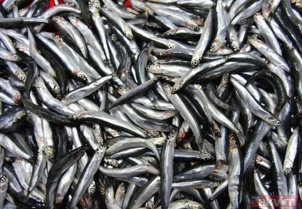 Uskumru: D vitaminin en büyük kaynaklarından olan bu besin testosteron miktarının artmasını sağlamaktadır.