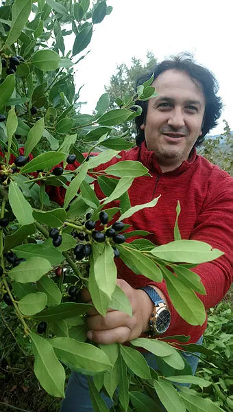 Ormandan topluyor 9 bin lira para kazanıyor-2