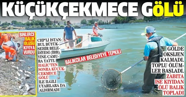 Küçükçekmece Gölü’nde binlerce balık ölüsü kıyıya vurdu: Vatandaşlar CHP’li İBB’ye isyan etti