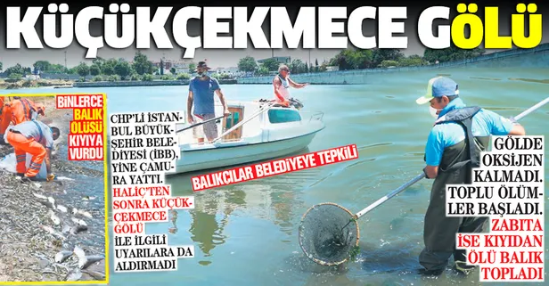 Küçükçekmece Gölü'nde binlerce balık ölüsü kıyıya vurdu: Vatandaşlar CHP'li İBB'ye isyan etti