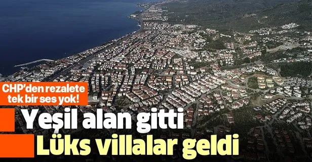 Edremit’te zeytinciliği inşaatla bitirdiler | Yeşil alanlar bir bir yok ediliyor