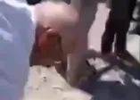 Sözde çevre eylemine giden CHP ve HDP'liler altın aramaya başladı!
