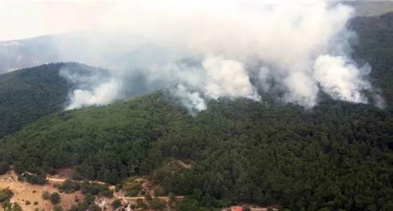 Türkiye'nin ciğerleri Kazdağları'nda yangın-1