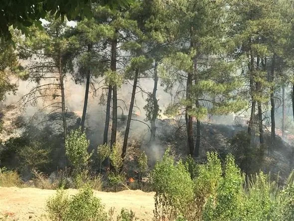 Bursa'dan korkutan görüntüler - 19