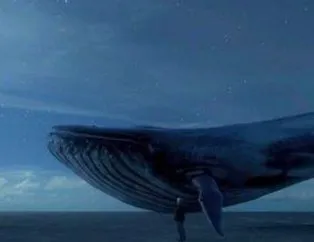 150 intiharda mavi balina izi