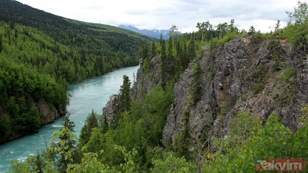 Alaska nerede ve hangi ülkeye ait? Ruslar Alaska'yı ne zaman sattı? Alaska haritası ve coğrafi konumu - 7