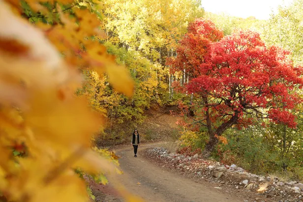 sonbahar-mevsimi-2021-ne-zaman-basliyor-bitiyor-sonbahar-mevsimi-ozellikleri-tarihleri-sonbahar-googleda-doodle-oldu-1632284160827.jpg Sonbahar Mevsimi özellikleri, tarihleri! Sonbahar Mevsimi 2021 ne zaman başlıyor, bitiyor? Sonbahar Google'da Doodle oldu!-2