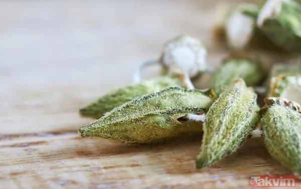 Hem zayıflatıyor hem de hafızayı çelik gibi yapıyor! Adeta mucizenin bir diğer adı gibi... - 11