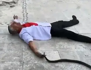 Adana’da ilginç olay: Bu kez de kendini yılana ısırttı