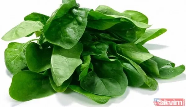 Bu besinler beyin gelişimini destekliyor! İşte iyi gelen o besinlerin listesi... - 30