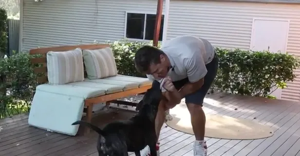 Yapay zekayla geliştirilen aşı tümörü küçülttü: ChatGPT ile köpeğini kurtardı