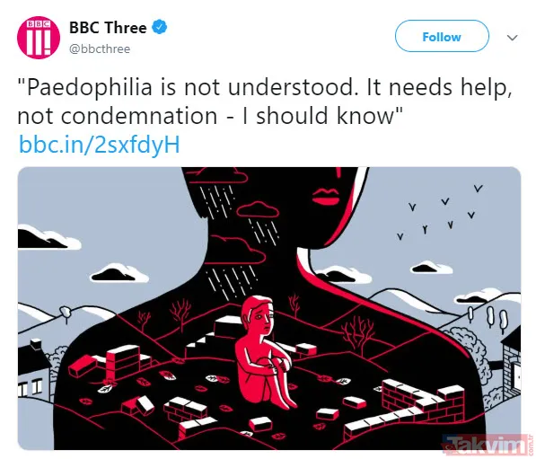 Gelecek nesilleri bekleyen büyük tehlike! Pedofili sapkınlığının normalleştirilmesi - 5