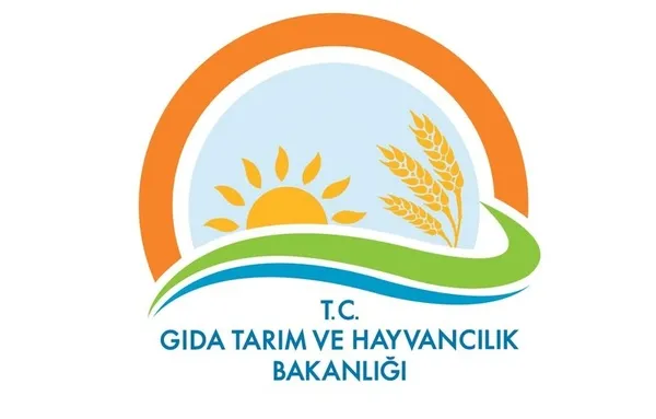 e-Devlet'e yeni hizmetler eklendi! İşte e-Devlet'teki yeni hizmetler-4