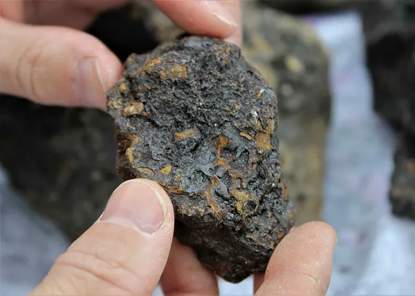 gokyuzunde-isik-gordu-olumden-dondu-basina-binlerce-dolar-degerinde-talih-kusu-kondu-1610791189875.jpg Gökyüzünde ışık gördü, ölümden döndü! Başına binlerce dolar değerinde talih kuşu kondu!-7