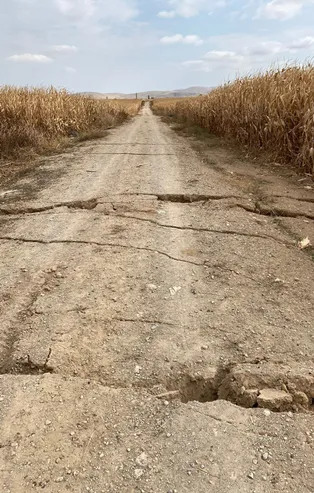 Karaman'da tarla yolunda korkutan yarıklar!