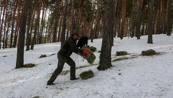 İngiliz kadın jokey Hollie Doyle yüz yılın jokeyi olarak lanse edildi (Yaşam haberleri)-5