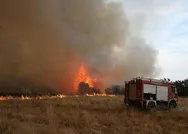 Yunanistan Başbakanı Miçotakis çıkan yangınlar için göçmenleri hedef gösterdi! Yerel halkı kışkırttı