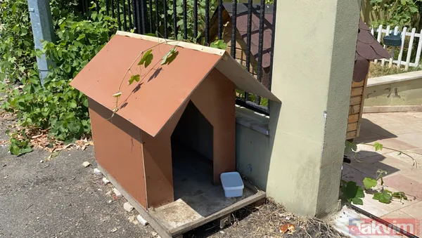 'Daire 16' sözleriyle gündem oldu! Köpük yerinde kalacak - 1