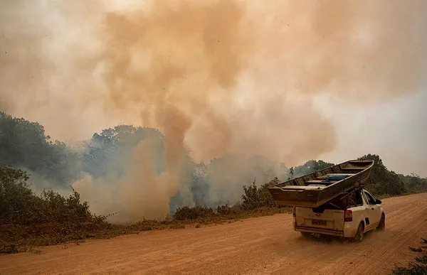 Brezilya'daki yangınlarda yaklaşık 1,5 milyon hektar sulak alan yandı-1