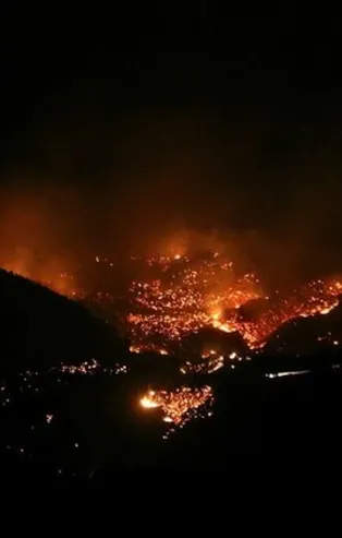 Hatay'daki yangınla ilgili çarpıcı detay! Yangın çıkarma talimatı örgüt paçavrasından mı verildi?